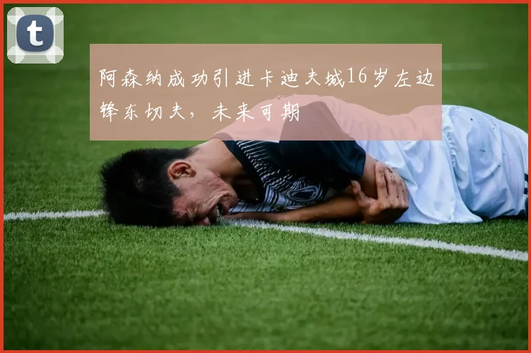 阿森纳成功引进卡迪夫城16岁左边锋东切夫,未来可期